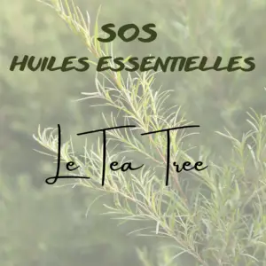 Tea Tree